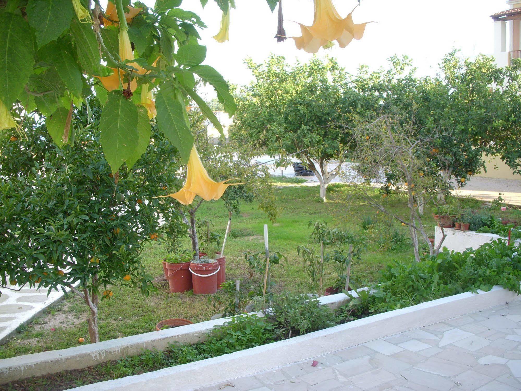 קאבוס Likourgos Beach מראה חיצוני תמונה